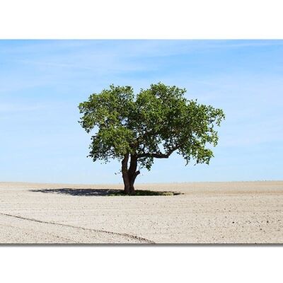 Mural: árbol en el campo - formato apaisado 2:1 - muchos tamaños y materiales - motivo de arte fotográfico exclusivo como cuadro de lienzo o cuadro de vidrio acrílico para la decoración de paredes