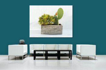 Tableau mural : Plantes devant blanc - format paysage 4:3 - nombreuses tailles et matériaux - motif d'art photographique exclusif comme tableau sur toile ou tableau en verre acrylique pour la décoration murale 4