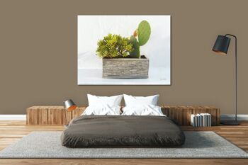 Tableau mural : Plantes devant blanc - format paysage 4:3 - nombreuses tailles et matériaux - motif d'art photographique exclusif comme tableau sur toile ou tableau en verre acrylique pour la décoration murale 6