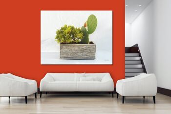 Tableau mural : Plantes devant blanc - format paysage 4:3 - nombreuses tailles et matériaux - motif d'art photographique exclusif comme tableau sur toile ou tableau en verre acrylique pour la décoration murale 8