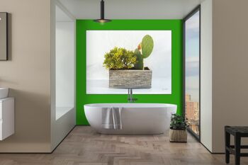 Tableau mural : Plantes devant blanc - format paysage 4:3 - nombreuses tailles et matériaux - motif d'art photographique exclusif comme tableau sur toile ou tableau en verre acrylique pour la décoration murale 9