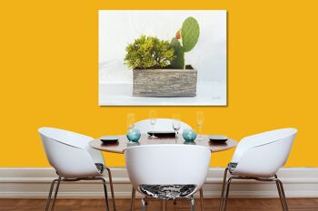 Tableau mural : Plantes devant blanc - format paysage 4:3 - nombreuses tailles et matériaux - motif d'art photographique exclusif comme tableau sur toile ou tableau en verre acrylique pour la décoration murale 10