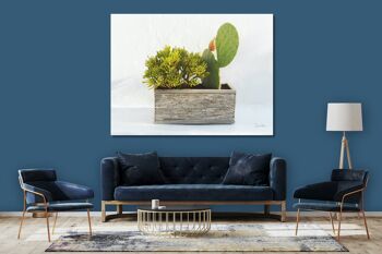 Tableau mural : Plantes devant blanc - format paysage 4:3 - nombreuses tailles et matériaux - motif d'art photographique exclusif comme tableau sur toile ou tableau en verre acrylique pour la décoration murale 11