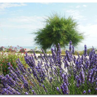 Mural: lavender and tree - landscape format 4:3 - many sizes & materials - exclusive photo art motif as a canvas picture or acrylic glass picture for wall decoration