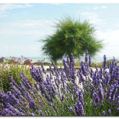 Mural: lavanda y árbol - formato apaisado 4:3 - muchos tamaños y materiales - motivo de arte fotográfico exclusivo como cuadro de lienzo o cuadro de vidrio acrílico para decoración de paredes