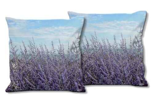 Deko-Foto-Kissen Set (2 Stk.), Motiv: Lavendel vor blauem Himmel - Größe: 40 x 40 cm - Premium Kissenhülle, Zierkissen, Dekokissen, Fotokissen, Kissenbezug