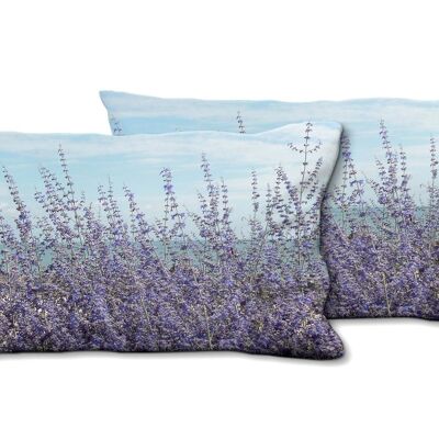 Juego de cojines decorativos con foto (2 piezas), motivo: lavanda frente a un cielo azul - tamaño: 80 x 40 cm - funda de cojín premium, cojín decorativo, cojín decorativo, cojín fotográfico, funda de cojín