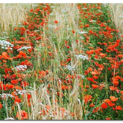 Mural: field of poppies - landscape format 4:3 - many sizes & materials - exclusive photo art motif as a canvas picture or acrylic glass picture for wall decoration
