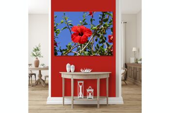 Papier peint : Hibiscus rouge de Crète 2 - format paysage 4:3 - nombreuses tailles et matériaux - motif d'art photo exclusif sous forme d'image sur toile ou d'image en verre acrylique pour la décoration murale 5