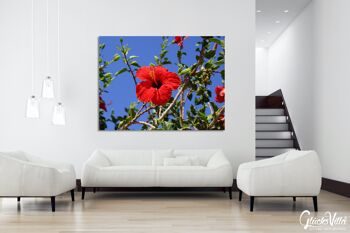 Papier peint : Hibiscus rouge de Crète 2 - format paysage 4:3 - nombreuses tailles et matériaux - motif d'art photo exclusif sous forme d'image sur toile ou d'image en verre acrylique pour la décoration murale 9