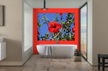 Papier peint : Hibiscus rouge de Crète 2 - format paysage 4:3 - nombreuses tailles et matériaux - motif d'art photo exclusif sous forme d'image sur toile ou d'image en verre acrylique pour la décoration murale 12
