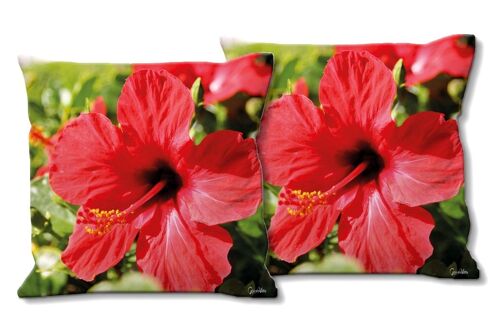 Deko-Foto-Kissen Set (2 Stk.), Motiv: Hibiskus, strahlend rot - Größe: 40 x 40 cm - Premium Kissenhülle, Zierkissen, Dekokissen, Fotokissen, Kissenbezug