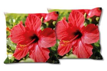 Ensemble de coussins photo décoratifs (2 pièces), motif : hibiscus, rouge vif - taille : 40 x 40 cm - housse de coussin premium, coussin décoratif, coussin décoratif, coussin photo, housse de coussin 1