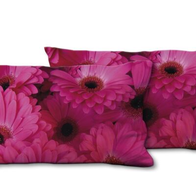 Set di cuscini decorativi con foto (2 pezzi), motivo: gerbera in rosa - dimensioni: 80 x 40 cm - fodera per cuscino premium, cuscino decorativo, cuscino decorativo, cuscino fotografico, fodera per cuscino