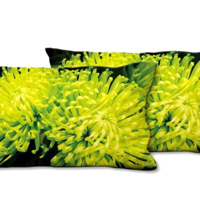 Set di cuscini decorativi con foto (2 pezzi), motivo: mondi vegetali - dimensioni: 80 x 40 cm - fodera per cuscino premium, cuscino decorativo, cuscino decorativo, cuscino fotografico, fodera per cuscino