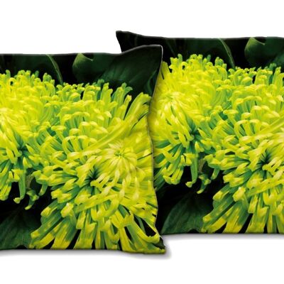 Set di cuscini decorativi con foto (2 pezzi), motivo: mondi vegetali - dimensioni: 40 x 40 cm - fodera per cuscino premium, cuscino decorativo, cuscino decorativo, cuscino fotografico, fodera per cuscino