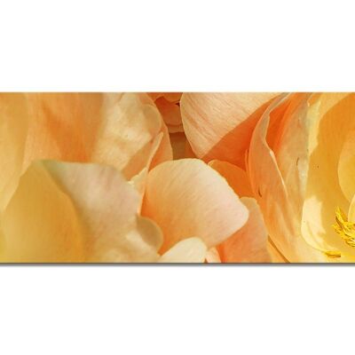 Mural Collection 1 - Motif a: Yellow Peony - Panorama across 3:1 - many sizes & materials - Exclusive photo art motif as a canvas or acrylic glass picture for wall decoration