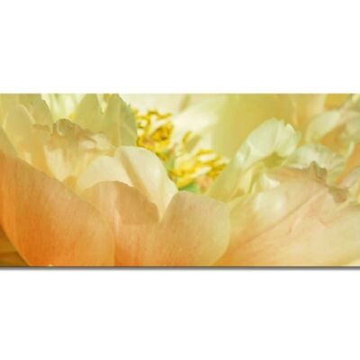 Mural collection 1 - motif c: yellow peony - landscape panorama 3:1 - many sizes & materials - exclusive photo art motif as a canvas picture or acrylic glass picture for wall decoration