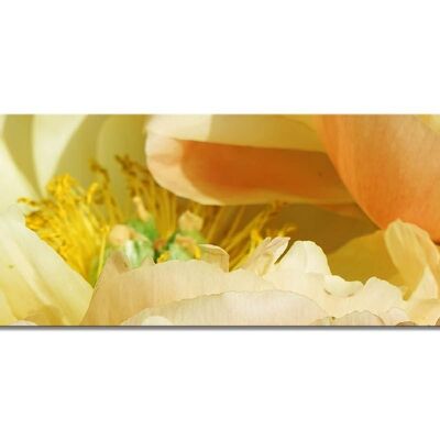Mural collection 1 - motif b: yellow peony - landscape panorama 3:1 - many sizes & materials - exclusive photo art motif as a canvas or acrylic glass picture for wall decoration