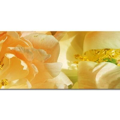Mural collection 1 - Motif d: Yellow peony - panorama landscape 3:1 - many sizes & materials - exclusive photo art motif as a canvas picture or acrylic glass picture for wall decoration