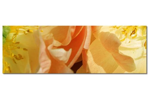 Wandbild Kollektion 1 – Motiv f: Gelbe Pfingstrose - Panorama quer 3:1 - viele Größen & Materialien – Exklusives Fotokunst-Motiv als Leinwandbild oder Acrylglasbild zur Wand-Dekoration
