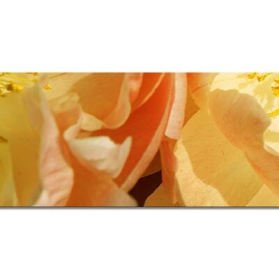 Mural collection 1 - motif f: yellow peony - landscape panorama 3:1 - many sizes & materials - exclusive photo art motif as a canvas picture or acrylic glass picture for wall decoration