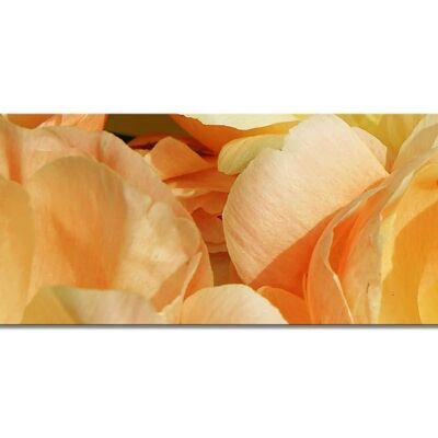 Mural collection 1 - motif g: yellow peony - landscape panorama 3:1 - many sizes & materials - exclusive photographic art motif as a canvas or acrylic glass picture for wall decoration