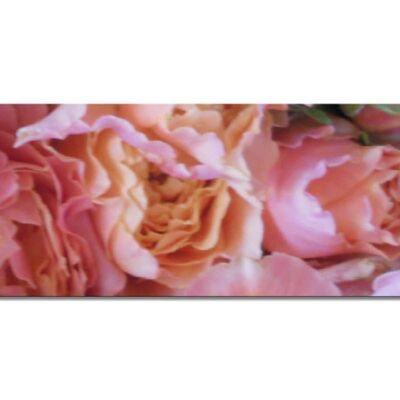 Mural Collection 2 - Motif a: Rose dream - panorama across 3:1 - many sizes & materials - exclusive photo art motif as a canvas picture or acrylic glass picture for wall decoration