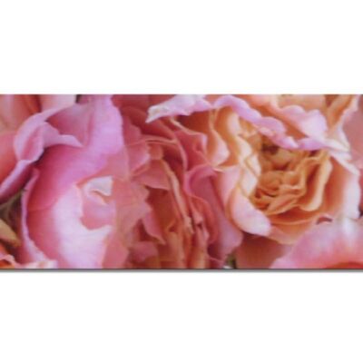 Mural collection 2 - Motif b: Rose dream - panorama landscape 3:1 - many sizes & materials - exclusive photo art motif as a canvas picture or acrylic glass picture for wall decoration