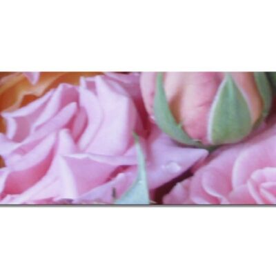 Colección de murales 2 - motivo c: sueño de rosas - panorama a través de 3:1 - muchos tamaños y materiales - motivo de arte fotográfico exclusivo como cuadro de lienzo o cuadro de vidrio acrílico para decoración de paredes