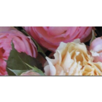 Mural collection 2 - Motif d: Rose dream - panorama landscape 3:1 - many sizes & materials - exclusive photo art motif as a canvas picture or acrylic glass picture for wall decoration