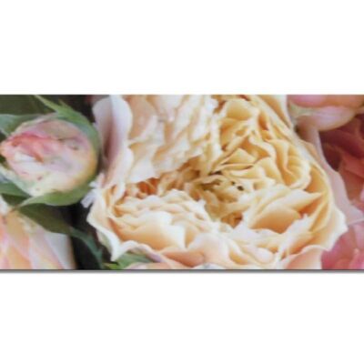 Mural collection 2 - motif f: rose dream - panorama across 3:1 - many sizes & materials - exclusive photo art motif as a canvas picture or acrylic glass picture for wall decoration