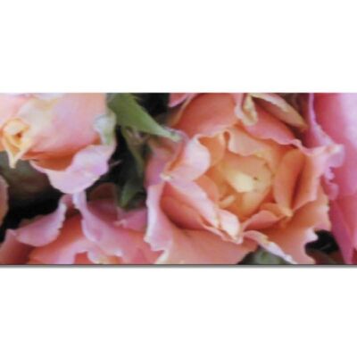 Mural Collection 2 - Motif e: Rose dream - panorama across 3:1 - many sizes & materials - exclusive photo art motif as a canvas or acrylic glass picture for wall decoration