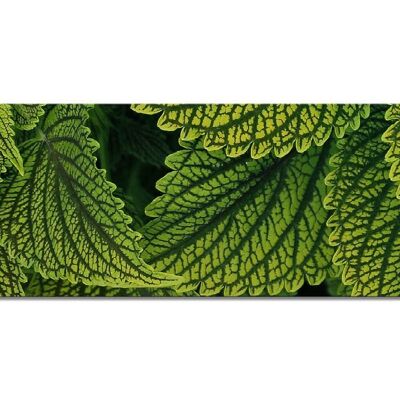 Mural collection 3 - motif c: green mint - panorama across 3:1 - many sizes & materials - exclusive photo art motif as a canvas picture or acrylic glass picture for wall decoration