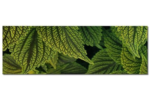 Buy wholesale Mural collection 3 - motif d: green mint - panorama across 3:1  - many sizes & materials - exclusive photo art motif as a canvas picture or  acrylic glass picture for wall decoration