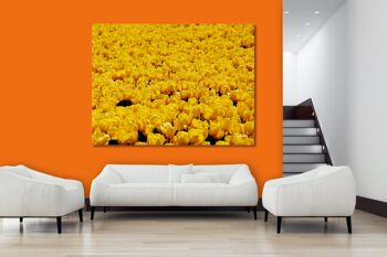 Papier peint : Sea of Tulips 5 - format paysage 4:3 - nombreuses tailles et matériaux - motif d'art photo exclusif sous forme d'image sur toile ou d'image en verre acrylique pour la décoration murale 7