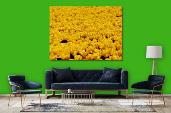 Papier peint : Sea of Tulips 5 - format paysage 4:3 - nombreuses tailles et matériaux - motif d'art photo exclusif sous forme d'image sur toile ou d'image en verre acrylique pour la décoration murale 10
