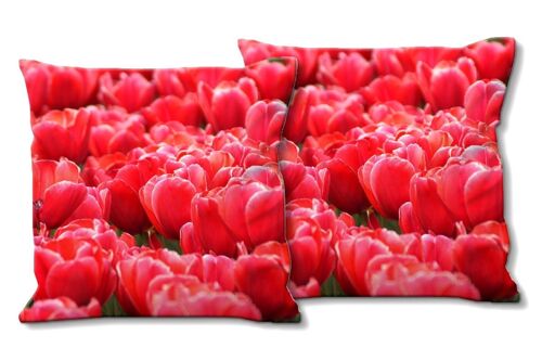 Deko-Foto-Kissen Set (2 Stk.), Motiv: Tulpenmeer 7 - Größe: 40 x 40 cm - Premium Kissenhülle, Zierkissen, Dekokissen, Fotokissen, Kissenbezug