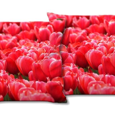 Deko-Foto-Kissen Set (2 Stk.), Motiv: Tulpenmeer 7 - Größe: 40 x 40 cm - Premium Kissenhülle, Zierkissen, Dekokissen, Fotokissen, Kissenbezug