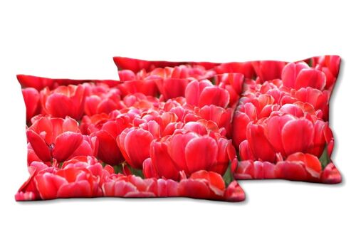 Deko-Foto-Kissen Set (2 Stk.), Motiv: Tulpenmeer 7 - Größe: 80 x 40 cm - Premium Kissenhülle, Zierkissen, Dekokissen, Fotokissen, Kissenbezug