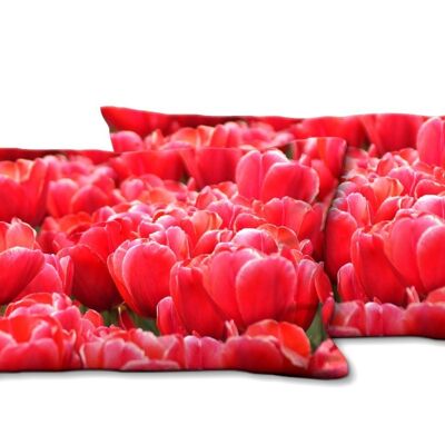 Deko-Foto-Kissen Set (2 Stk.), Motiv: Tulpenmeer 7 - Größe: 80 x 40 cm - Premium Kissenhülle, Zierkissen, Dekokissen, Fotokissen, Kissenbezug