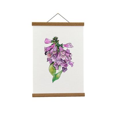 Ilustración botánica: A3+ Foxglove Giclée Art Print