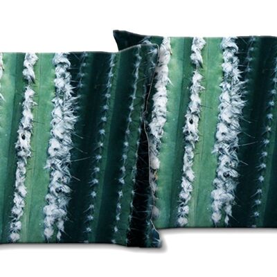 Juego de cojines decorativos con foto (2 piezas), motivo: mundo de cactus 1 - tamaño: 40 x 40 cm - funda de cojín premium, cojín decorativo, cojín decorativo, cojín fotográfico, funda de cojín