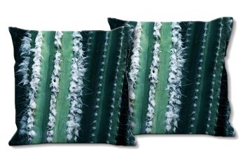 Ensemble de coussins photo décoratifs (2 pièces), motif : monde des cactus 1 - taille : 40 x 40 cm - housse de coussin premium, coussin décoratif, coussin décoratif, coussin photo, housse de coussin 1