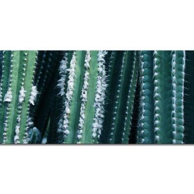 Mural: Mundo de cactus 1 - Paisaje panorámico 3:1 - Muchos tamaños y materiales - Motivo de arte fotográfico exclusivo como cuadro de lienzo o cuadro de vidrio acrílico para la decoración de paredes