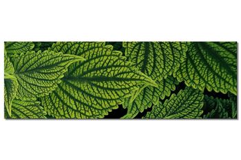 Mural Collection 3 – Motif h: Green Mint – Panorama sur 3:1 – nombreuses tailles et matériaux – motif d'art photographique exclusif sous forme de toile ou d'image en verre acrylique pour la décoration murale