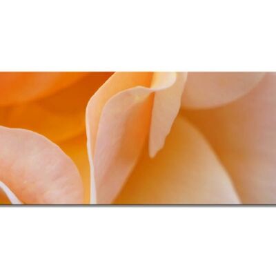 Colección de murales 4 - Motivo a: Flor de rosa amarilla - panorama a través de 3:1 - muchos tamaños y materiales - motivo de arte fotográfico exclusivo como cuadro de lienzo o cuadro de vidrio acrílico para decoración de paredes
