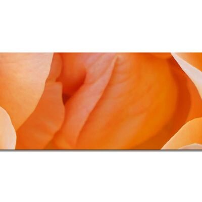 Mural collection 4 - Motif d: Yellow rose blossom - panorama across 3:1 - many sizes & materials - exclusive photo art motif as a canvas picture or acrylic glass picture for wall decoration