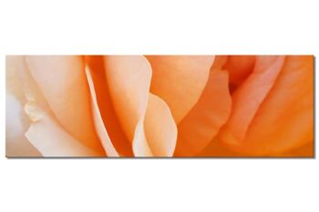 Collection murale 4 - Motif c : Fleur de rose jaune - panorama sur 3:1 - nombreuses tailles et matériaux - motif d'art photo exclusif comme image sur toile ou image en verre acrylique pour la décoration murale