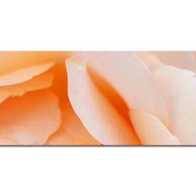 Mural Collection 4 - Motif e: Yellow Rose Blossom - Panorama landscape 3:1 - many sizes & materials - Exclusive photo art motif as a canvas or acrylic glass picture for wall decoration